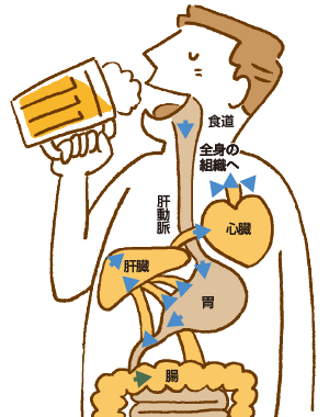 図解：アルコール分解