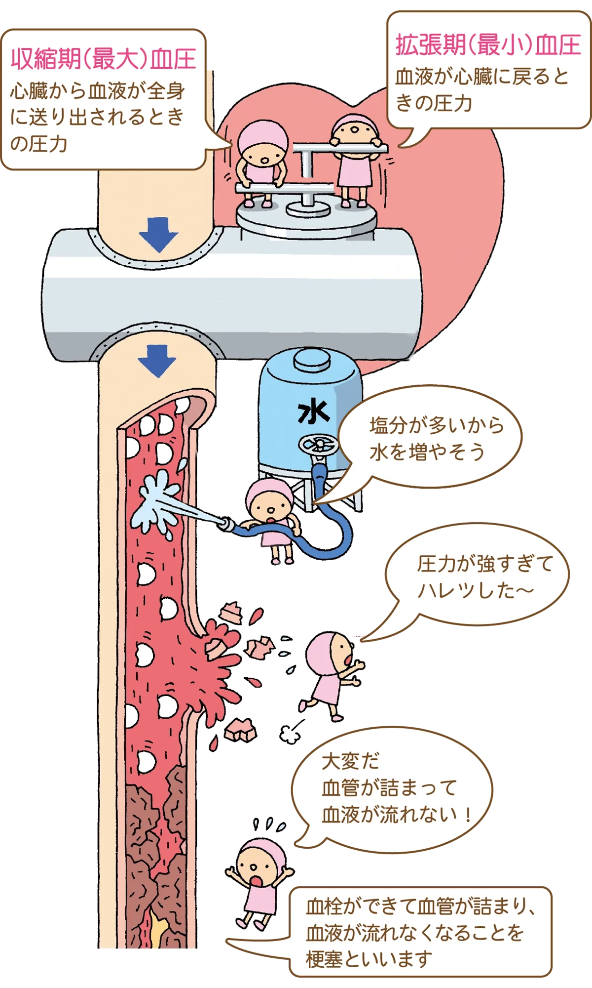 図解：血圧が高くなる原因