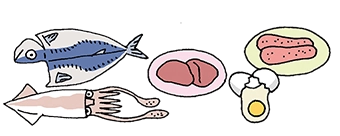 イラスト：コレステロールを多く含む食品